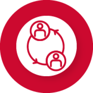 XS-Establishandaudit-iconXS Red circle with white circle with red icon showing a transfer.